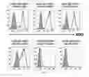 Fig. 08 - Humanized Variable Lymphocyte Receptors (VLR) and Compositions and Uses Related Thereto