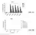 Fig. 43 - Compositions and methods for treating HIV/AIDS with immunotherapy
