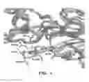 Fig. 06 - ANTIBODY VARIANTS