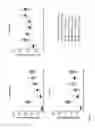 Fig. 09 - Antibodies for IL-17C