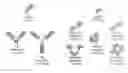 Fig. 01 - METHOD OF TREATING SYSTEMIC FIBROTIC DISORDERS USING AN IL-33/TNF BISPECIFIC ANTIBODY