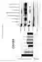 Fig. 35 - METHOD OF TREATING SYSTEMIC FIBROTIC DISORDERS USING AN IL-33/TNF BISPECIFIC ANTIBODY