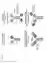 Fig. 49 - METHOD OF TREATING SYSTEMIC FIBROTIC DISORDERS USING AN IL-33/TNF BISPECIFIC ANTIBODY