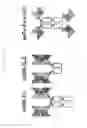 Fig. 72 - METHOD OF TREATING SYSTEMIC FIBROTIC DISORDERS USING AN IL-33/TNF BISPECIFIC ANTIBODY