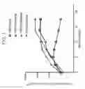 Fig. 02 - Chimeric antigen receptors targeting CD-19