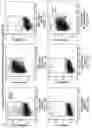 Fig. 02 - Carrier-PD-L1 binding agent compositions for treating cancers