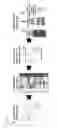 Fig. 02 - Compositions and methods for identification, assessment, prevention, and treatment of AML using USP10 biomarkers and modulators