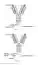 Fig. 02 - Multispecific antigen binding proteins and methods of use thereof