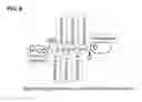Fig. 06 - Cationic mucic acid polymer-based delivery system