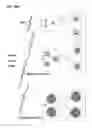Fig. 12 - Cationic mucic acid polymer-based delivery system