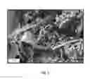 Fig. 02 - Capsule design for the capture of reagents