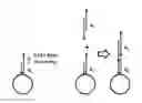 Fig. 01 - Compositions and methods for multiplex nucleic acids synthesis