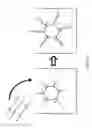 Fig. 06 - Compositions and methods for multiplex nucleic acids synthesis