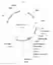 Fig. 07 - Rationally designed, synthetic antibody libraries and uses therefor
