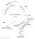 Fig. 09 - Rationally designed, synthetic antibody libraries and uses therefor