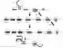 Fig. 01 - Omega amplification