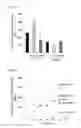 Fig. 06 - COMPOSITION AND METHOD FOR IMPROVING SENSITIVITY AND SPECIFICITY OF DETECTION OF NUCLEIC ACIDS USING DCAS9 PROTEIN AND GRNA BINDING TO TARGET NUCLEIC ACID SEQUENCE