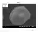 Fig. 02 - Thermal spraying material