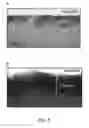 Fig. 08 - Method for the production of functionalized elastomeric manufactured articles and manufactured articles thus obtained
