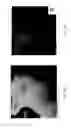 Fig. 04 - Evaporator boats for metallization installations