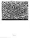 Fig. 05 - Method for making nanoporous copper