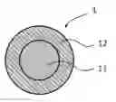 Fig. 01 - CONJUGATED FIBER