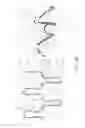 Fig. 08 - Fabric