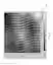 Fig. 08 - Sanitary tissue products
