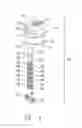 Fig. 05 - Tubing hanger assembly with wellbore access, and method of supplying power to a wellbore