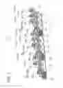 Fig. 02 - Vehicular lamp
