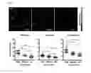 Fig. 13 - Real-time imaging sensor for measuring cellular thiol level