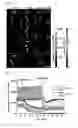 Fig. 21 - Real-time imaging sensor for measuring cellular thiol level