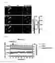 Fig. 27 - Real-time imaging sensor for measuring cellular thiol level