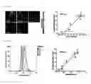 Fig. 33 - Real-time imaging sensor for measuring cellular thiol level