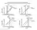 Fig. 01 - COMPOSITIONS AND METHODS FOR DIAGNOSING CELIAC DISEASE USING CIRCULATING CYTOKINES/CHEMOKINES