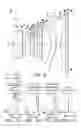 Fig. 22 - Optical imaging lens