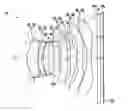 Fig. 01 - Optical imaging lens
