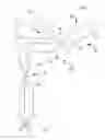 Fig. 01 - Light sheet microscope