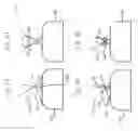 Fig. 12 - Light sheet microscope