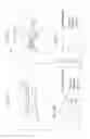Fig. 13 - Light sheet microscope