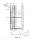 Fig. 07 - Exit-pupil expander used distribute light over a liquid-crystal variable retarder