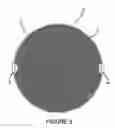 Fig. 06 - AIRFLOW PHOTOGRAPHIC REFLECTOR