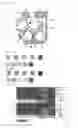 Fig. 07 - Toner set, image forming method, and image forming apparatus