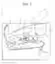 Fig. 02 - FIXING APPARATUS AND IMAGE FORMING APPARATUS