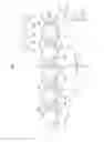 Fig. 02 - Image forming apparatus and developer set