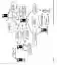 Fig. 77 - Multi-source, multi-dimensional, cross-entity, multimedia merchant analytics database platform apparatuses, methods and systems