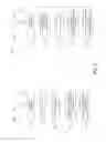 Fig. 07 - Method and system of translating a source sentence in a first language into a target sentence in a second language