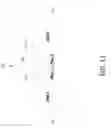 Fig. 12 - Efficient filename storage and retrieval