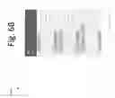 Fig. 08 - Named entity recognition from short unstructured text