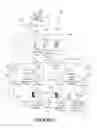 Fig. 02 - System and method for providing multimedia digital rights transfer